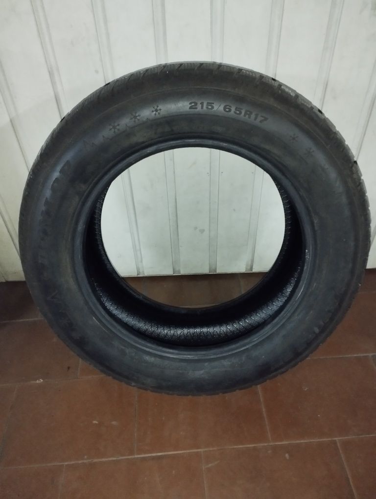 1 Pneu Dunlop 215/65 R17 - 9mm piso