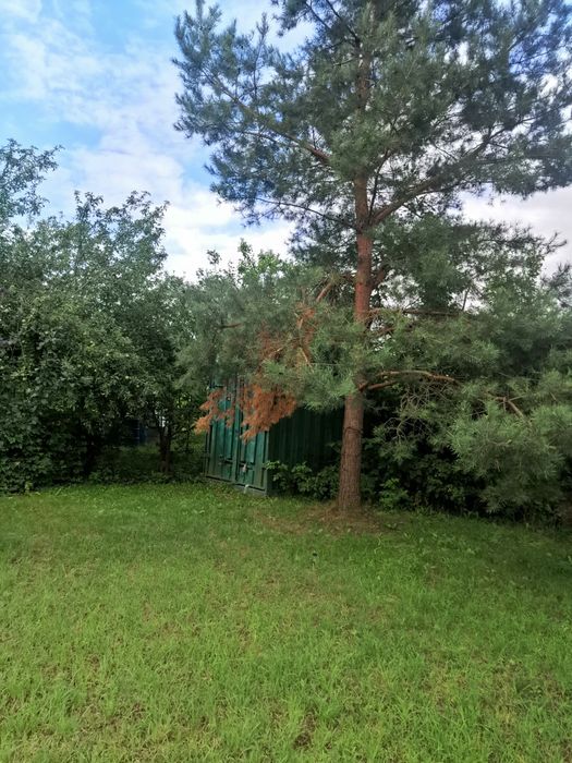 Будинок дача с Гвоздев СТ Фізик Обухівський район