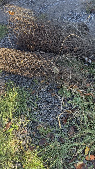 Сітка рабиця