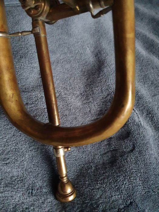 Trąbka Weltklang. Skrzydłówka.