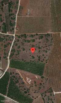 Terreno rústico com 14 700 m2 na Quebrada, Algoz