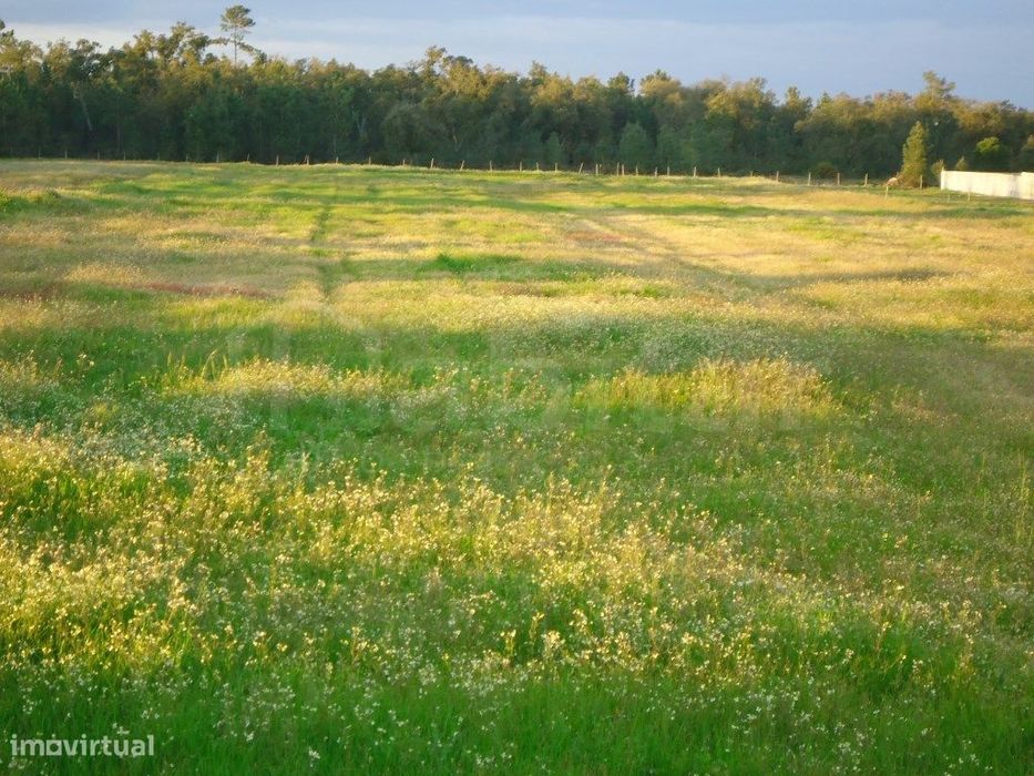 Terreno para Construção
