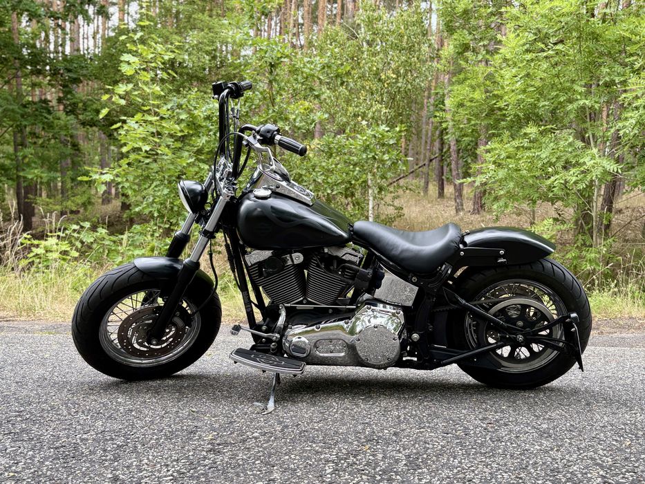 Harley Davidson softail custom
