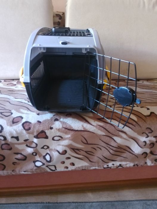 Spszedam królika domowego