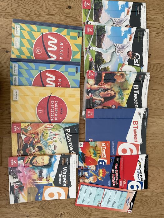 Manuais e cadernos de atividades 6ano