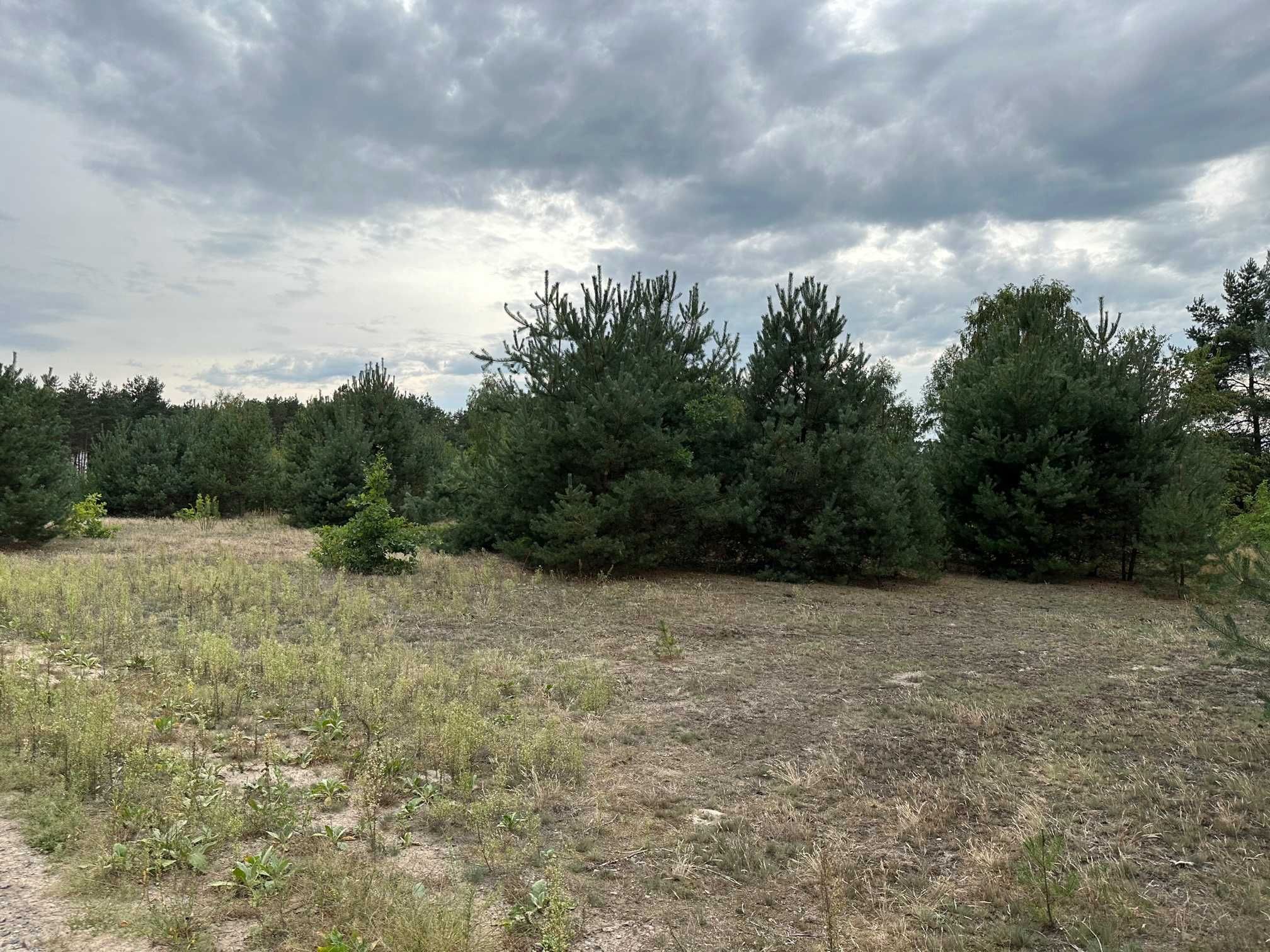 Działka 1233 m2 55x22 m. Marcelów, Wsola, gm. Jedlińsk, wydane WZ