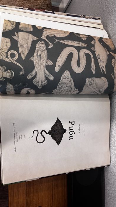 Книга Анімаліум. Кейті Скотт і Дженні Брум