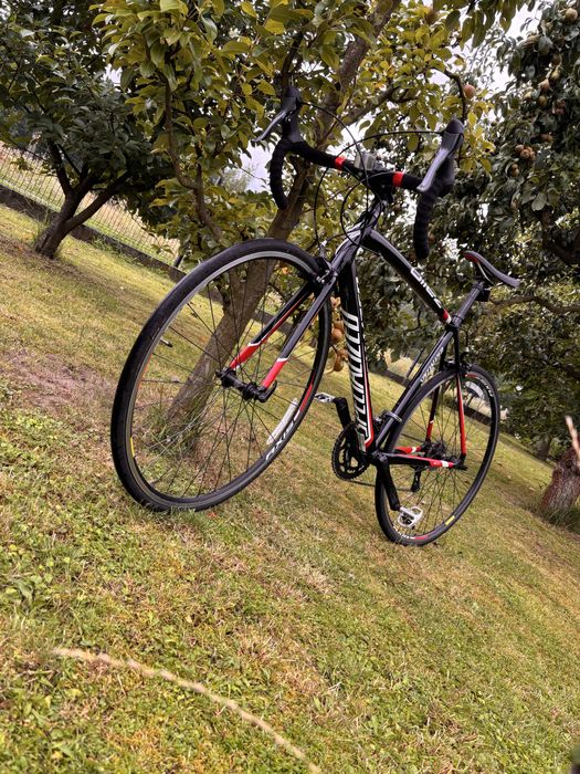 Specialized Allez Prosto po serwisie, PROMOCJA!! Cena tylko do piątku