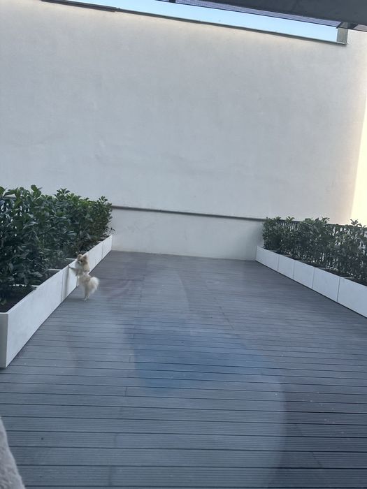 Mieszkanie w centrum miasta + TARAS 36m