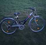 Rower Pegasus 28 cali
