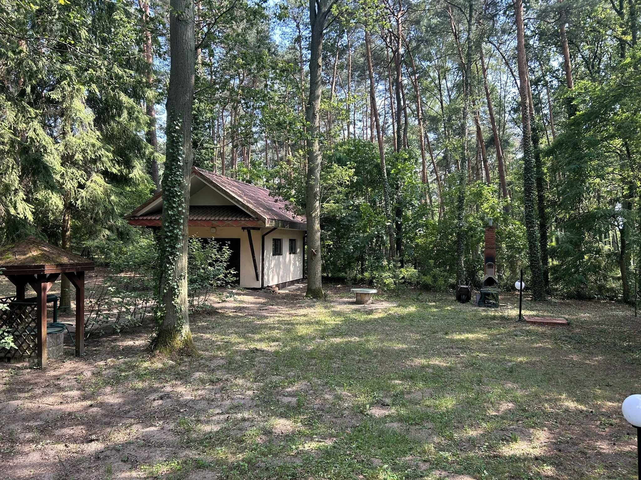 Dom całoroczny - Sokolniki Las