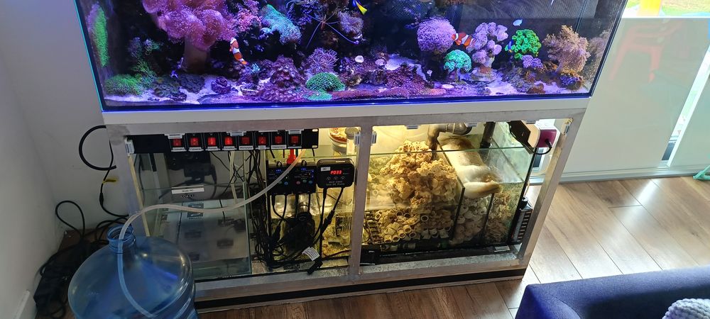 Akwarium morskie 300l