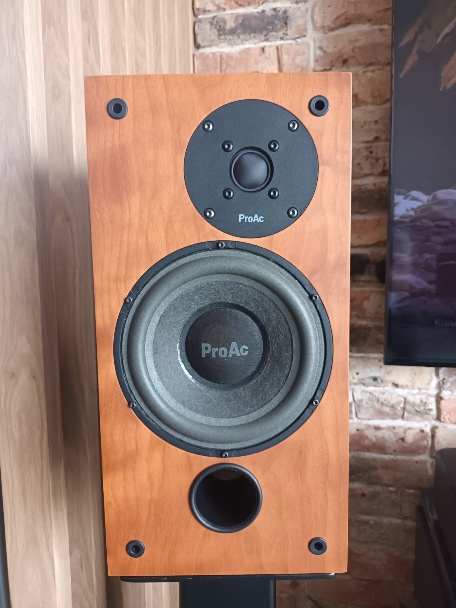 Pro Ac Studio 100 monitory bliskiego pola odsłuchu