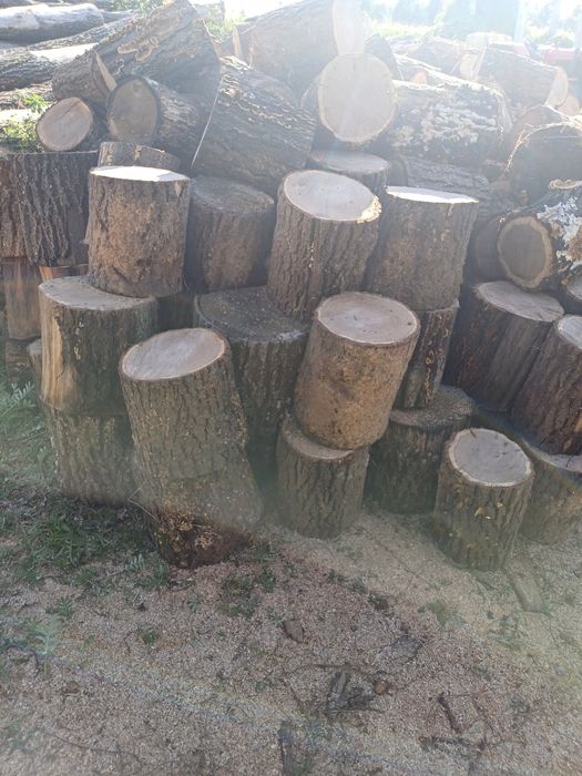 Drewno drzewo oplaowe dąb dębina