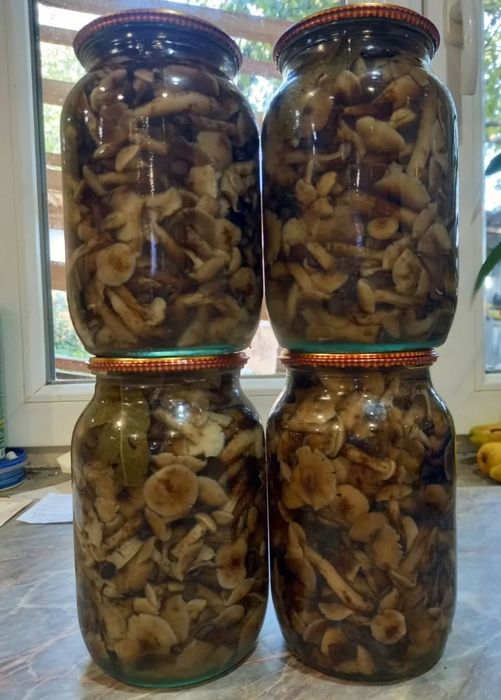 Гриби  білі мариновані