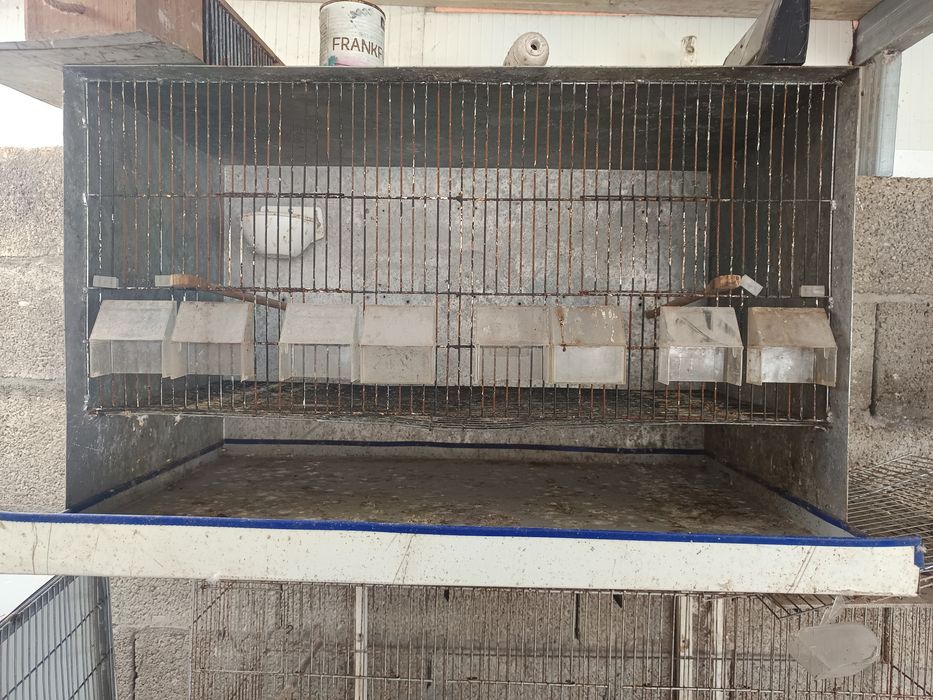 Vendo gaiola em chapa galvanizada