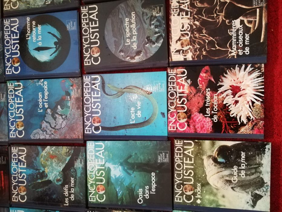 Cousteau mundo submarino
