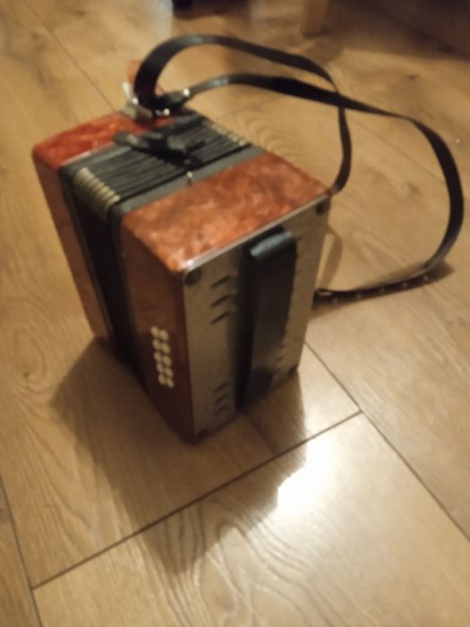 Akordeon dla dziecka