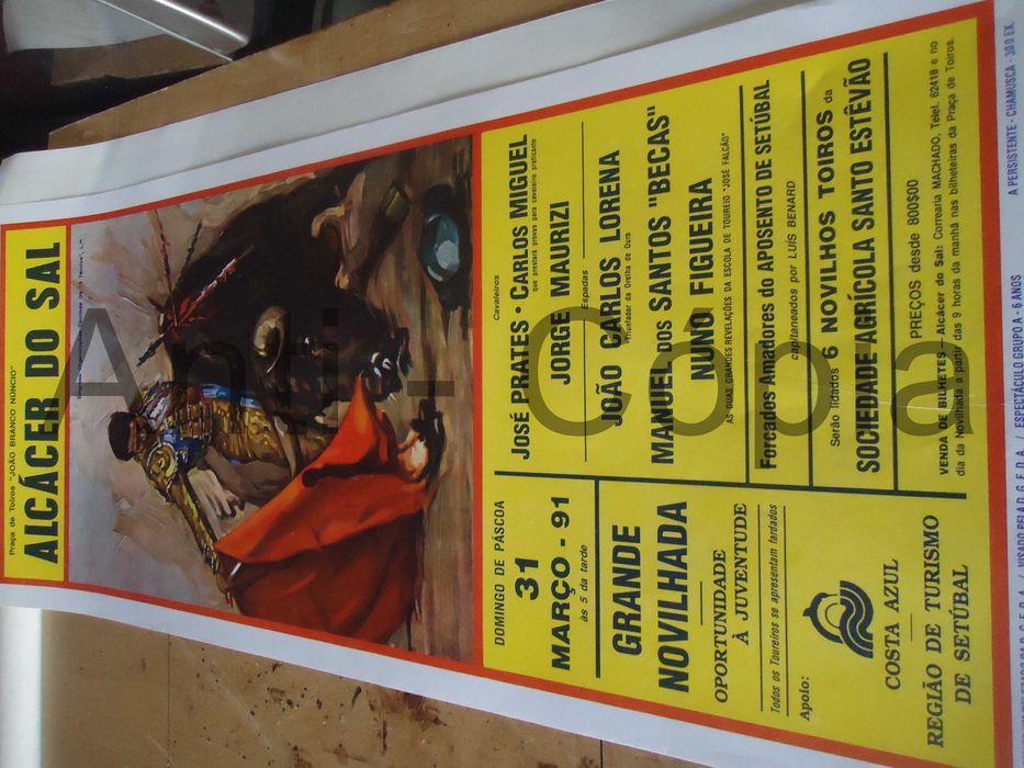 Toiros - Cartazes de Montra 7
