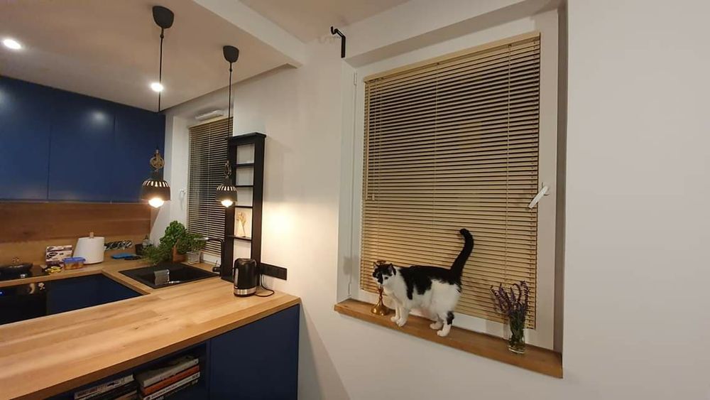 Żaluzje, Rolety, Plisy, Moskitiery. Produkcja i Montaż. Pomiar Gratis!