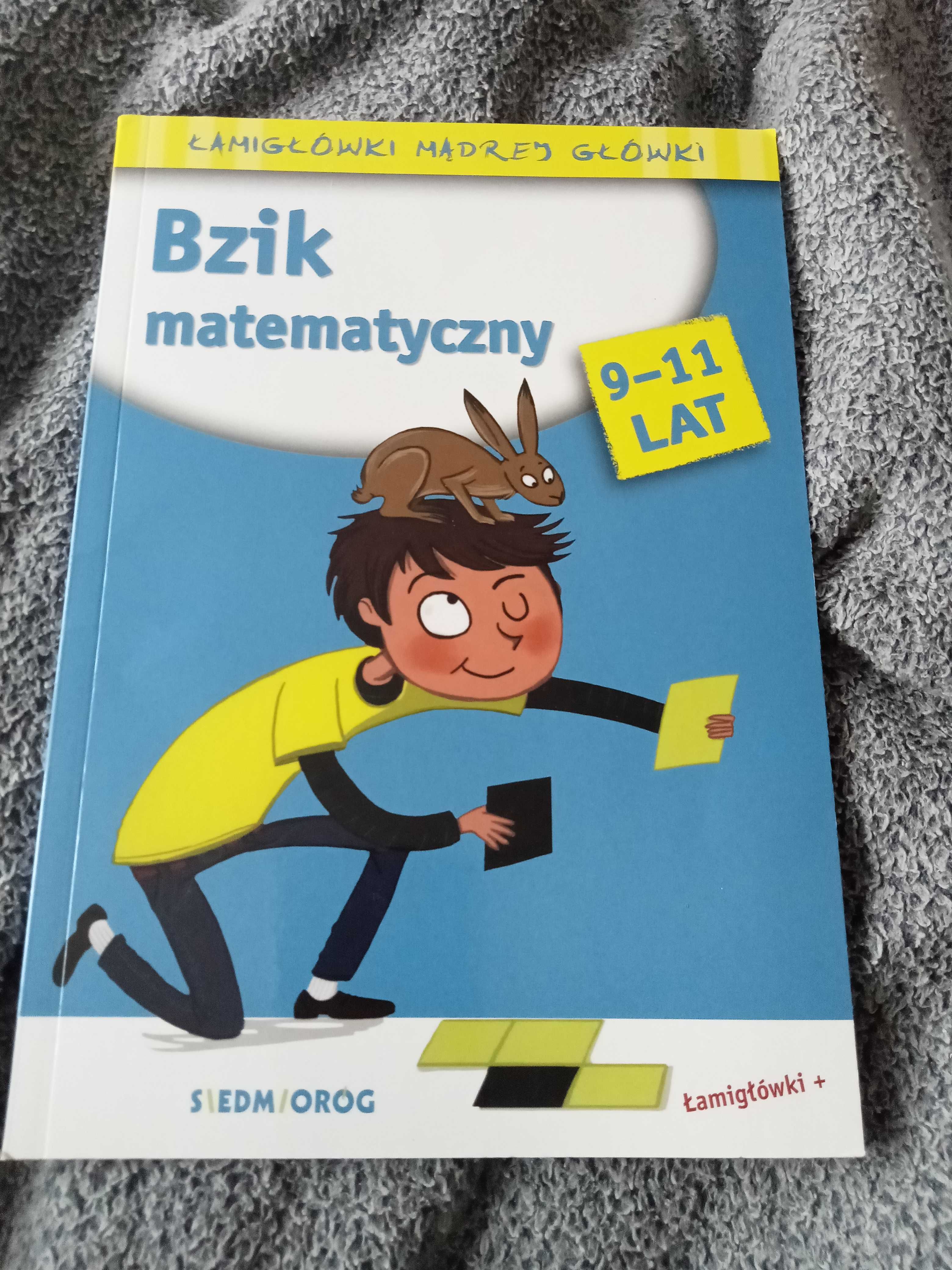 Bzik matematyczny 9-11 lat