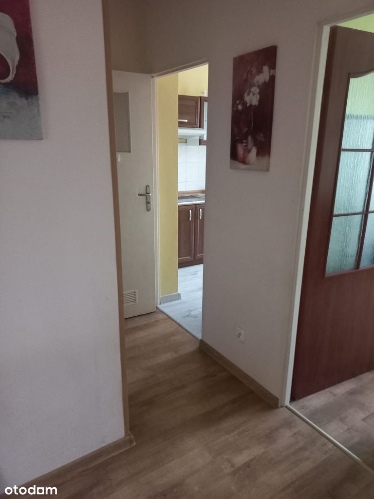Wynajmę mieszkanie dwupokojowe 49,6 m2 Gdynia Gryfa Pomorskiego