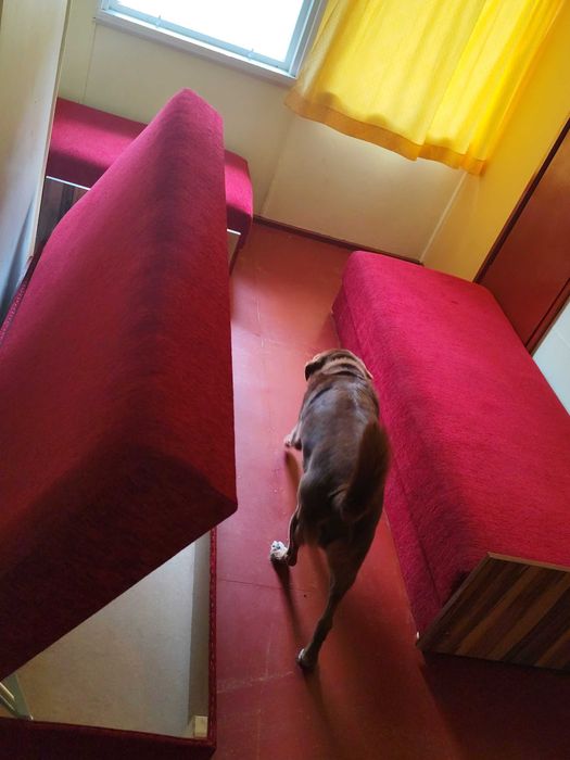 Łóżka, tapczany ,od 50 do 200 zł przy zakupie większej ilości zniżki