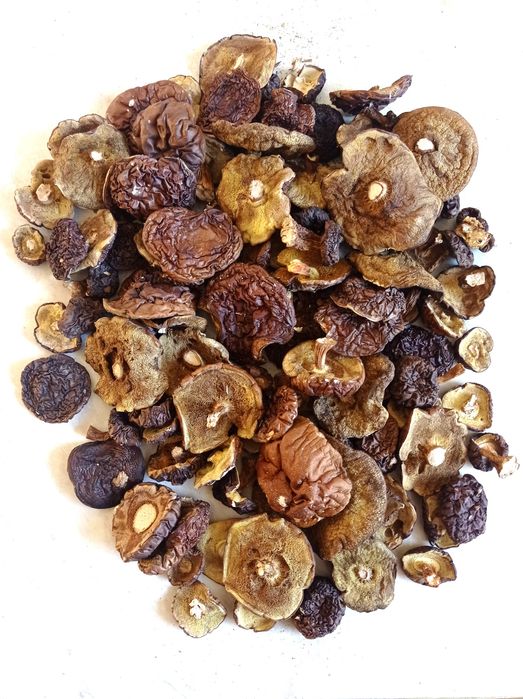 Podrzybki, grzyby suszone