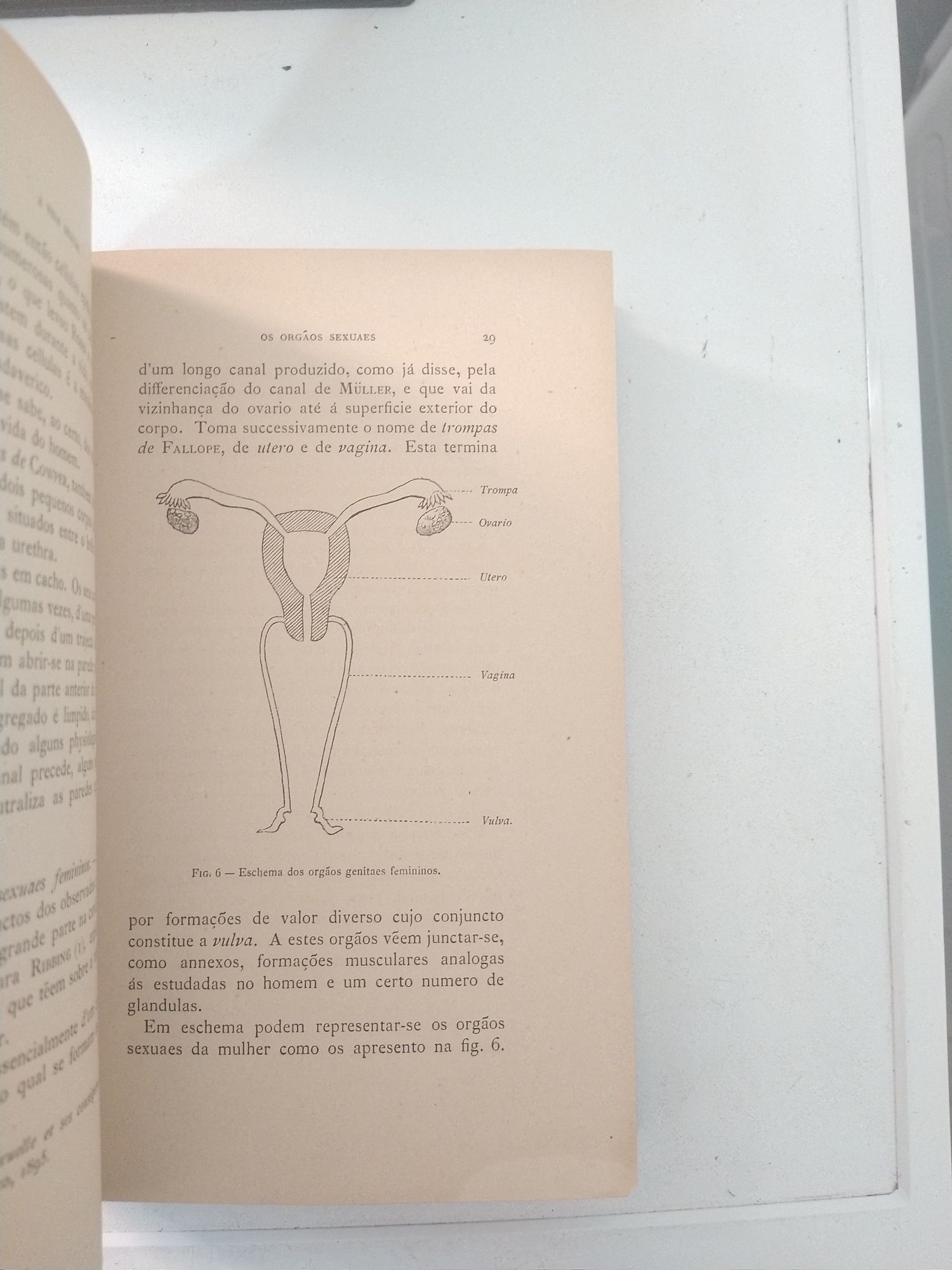 Livro A Vida sexual Physiologia l