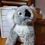 Peluche Koala - ZOO Lisboa