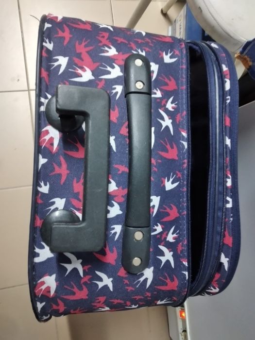 Mala de viagem azul e vermelho