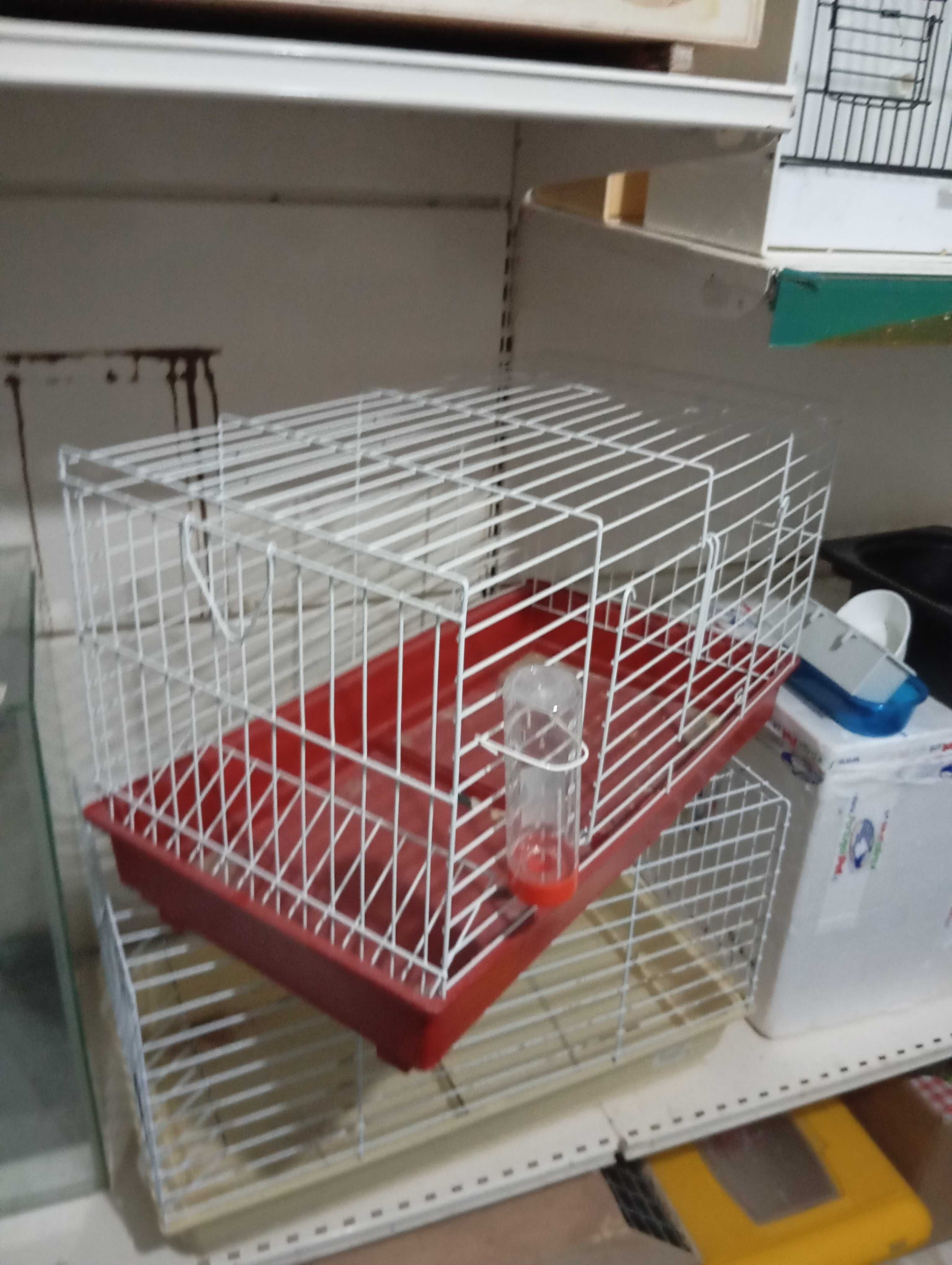 Gaiola para Coelho USADA