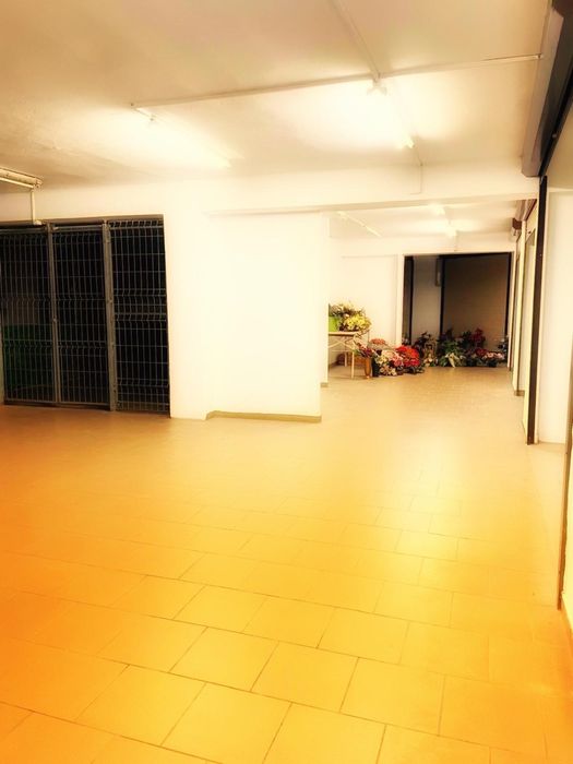 Do wynajęcia hala – 180 m² – centrum Radlina