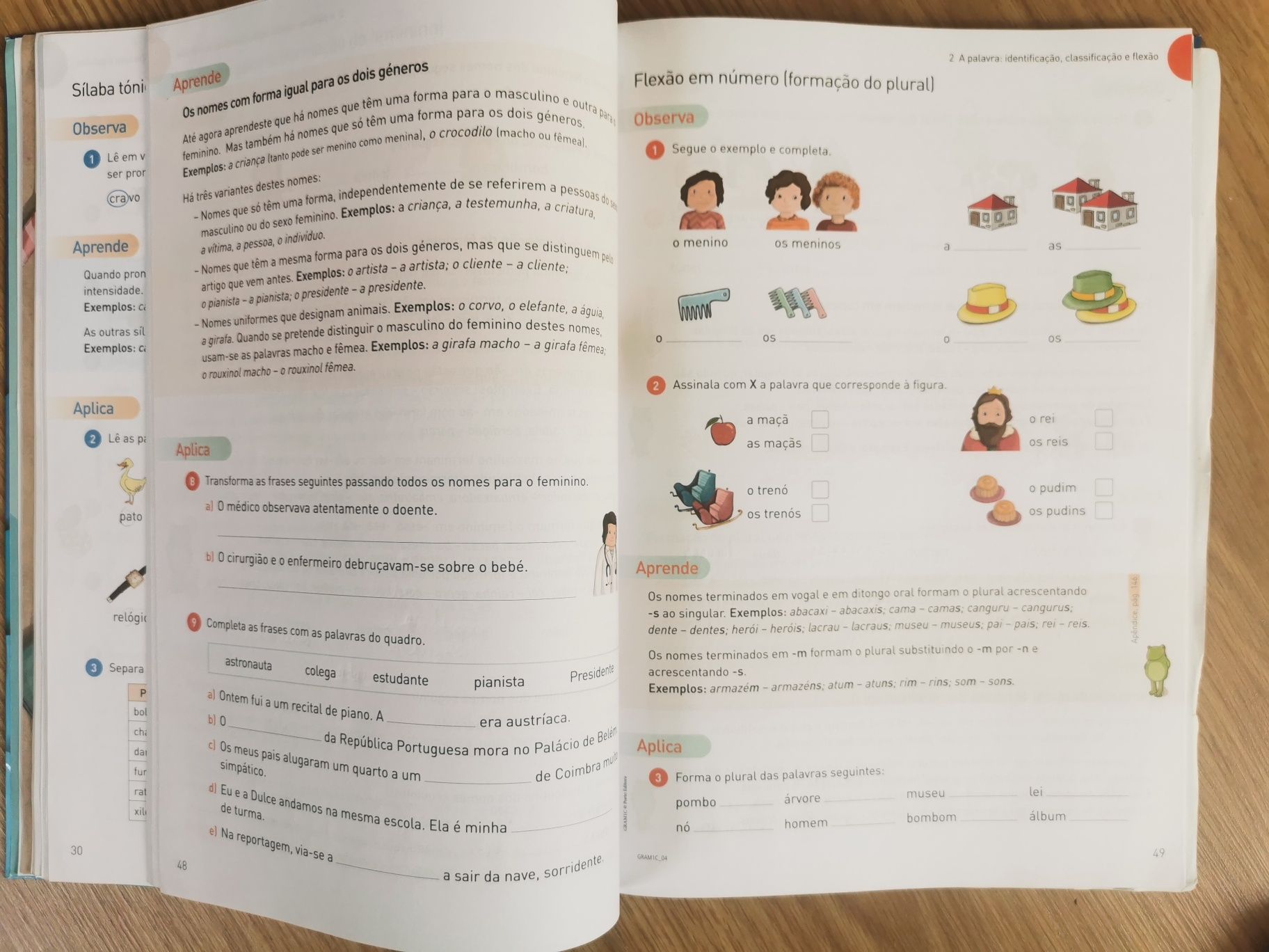 A Gramática Português - 1 ciclo