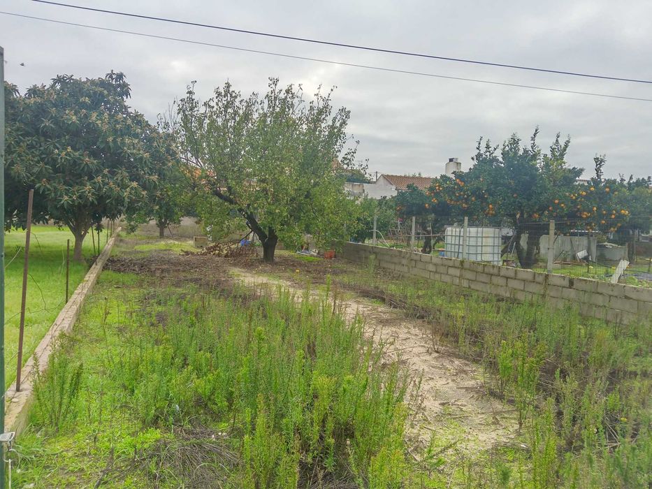 Lote de terreno para construção