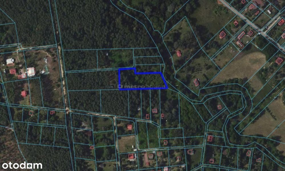 Działka 3500 m² nad rzeką Popielżyn Dolny