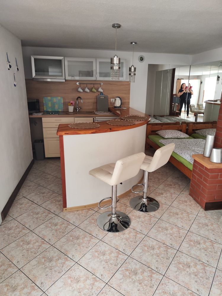 Wynajem apartament Rafaell blisko zamku