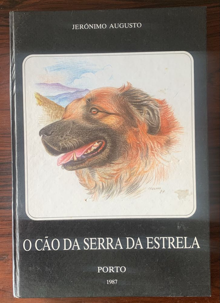 O cão da Serra da Estrela