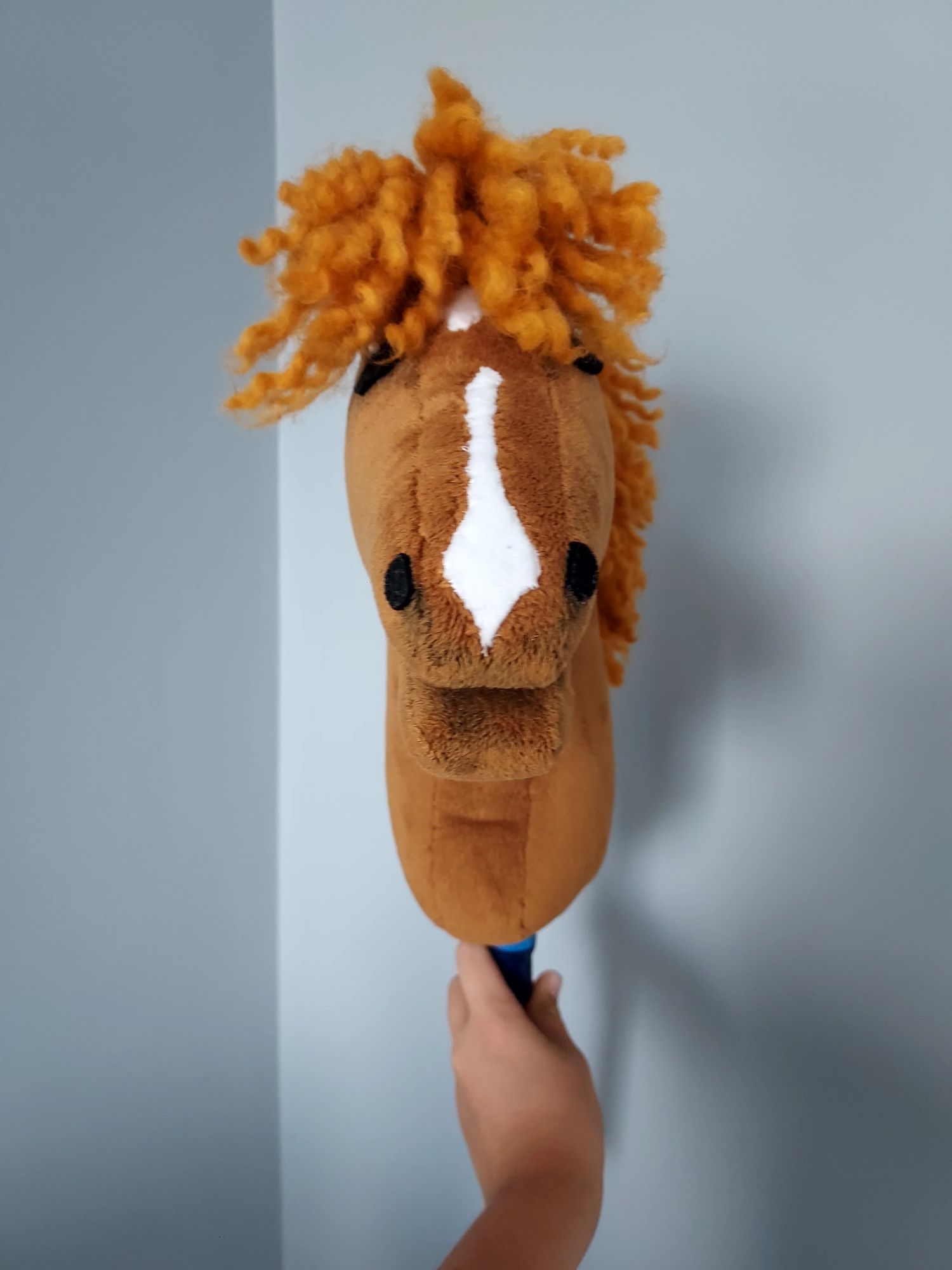 Hobby Horse Rudy