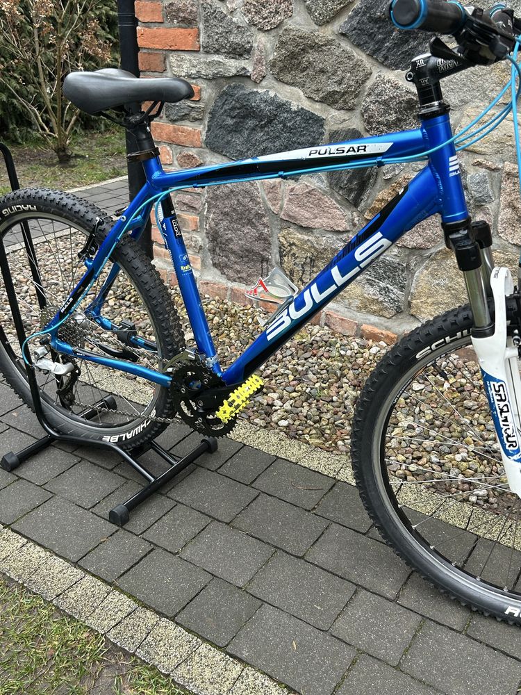 Rower Bulls pulsar