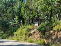 Terreno com área total de 6.800 m2 de pinhal e eucaliptos no Escand...