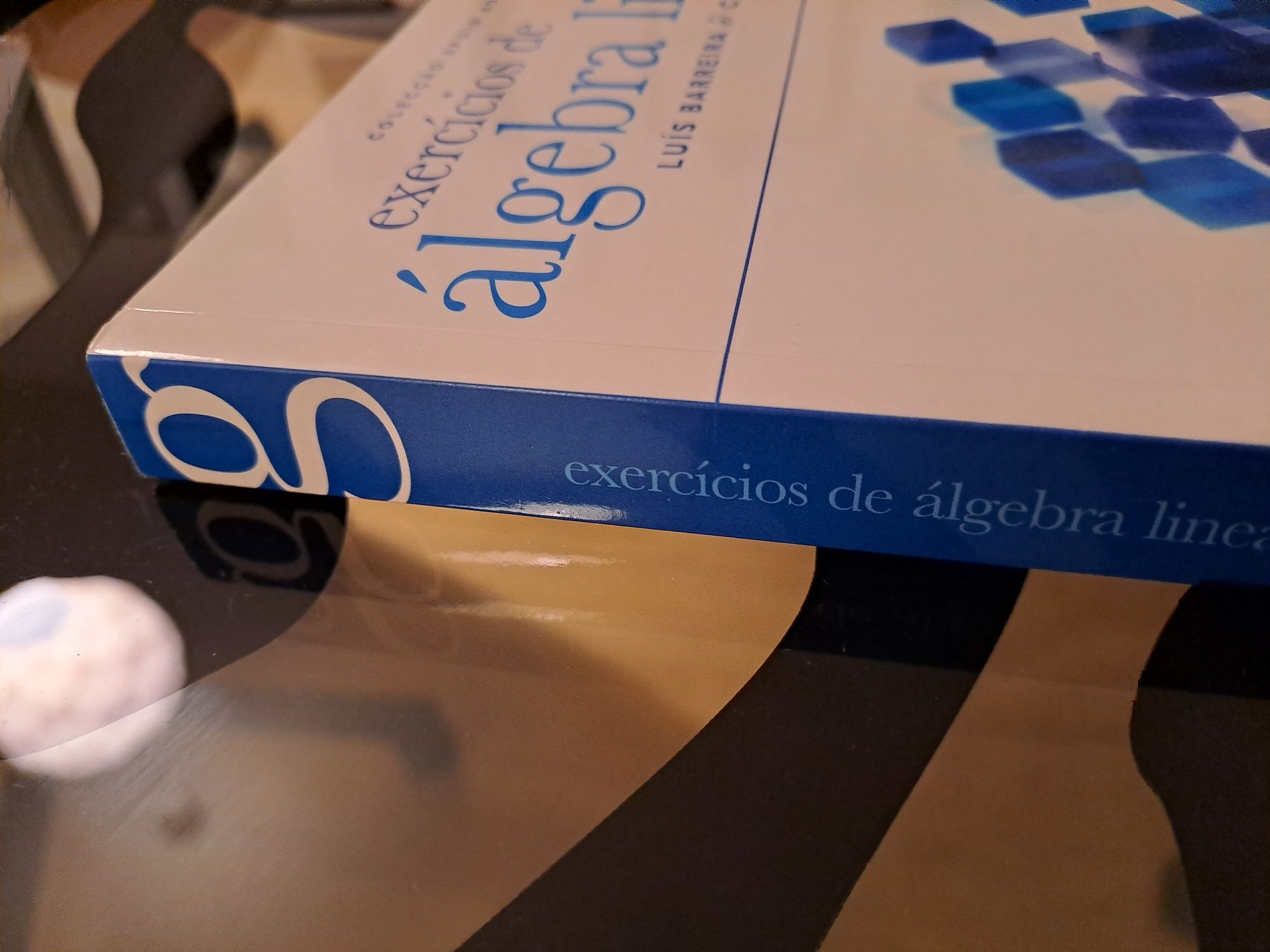 Exercícios de Álgebra Linear, de Claudia Valls e Luís Barreira