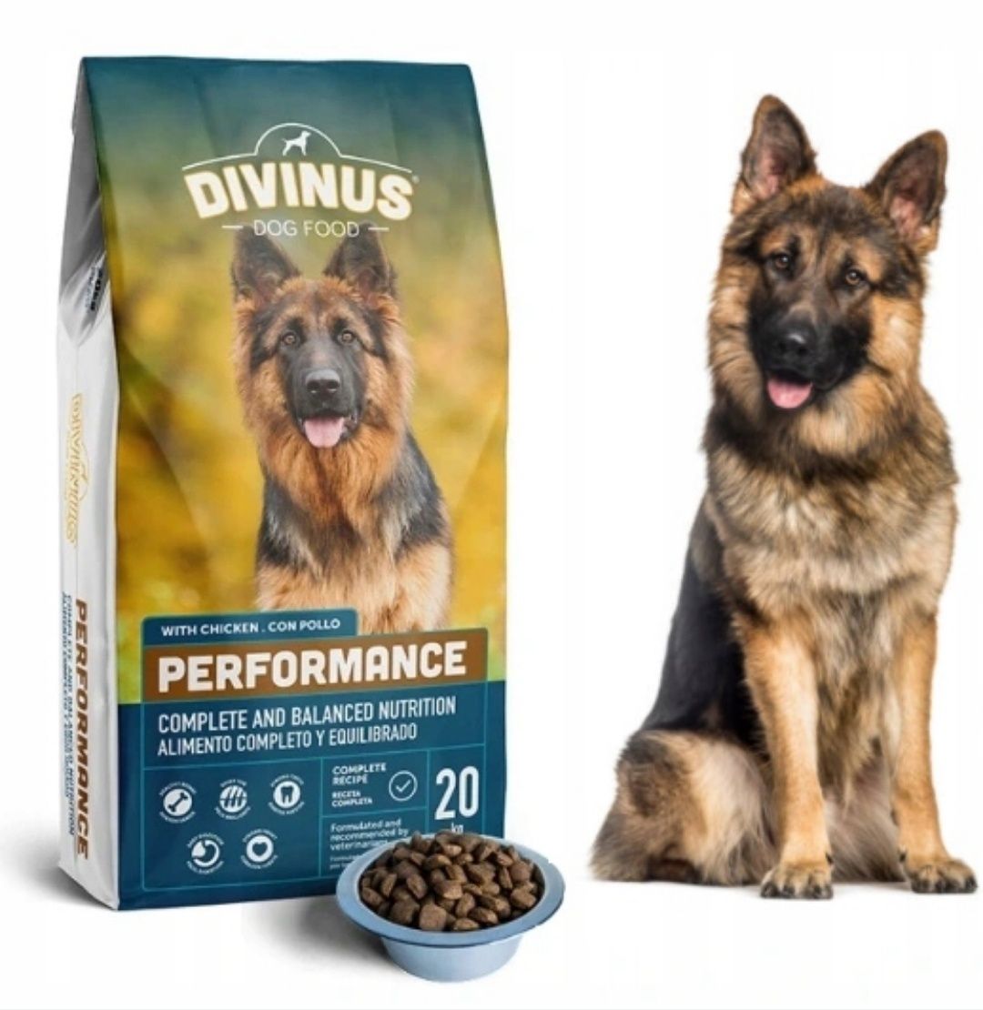 Divinus Performance Karma Sucha 20kg dla Owczarka Border Retriever