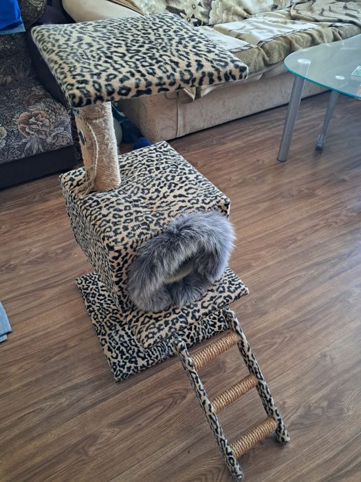 Домівка  для кота