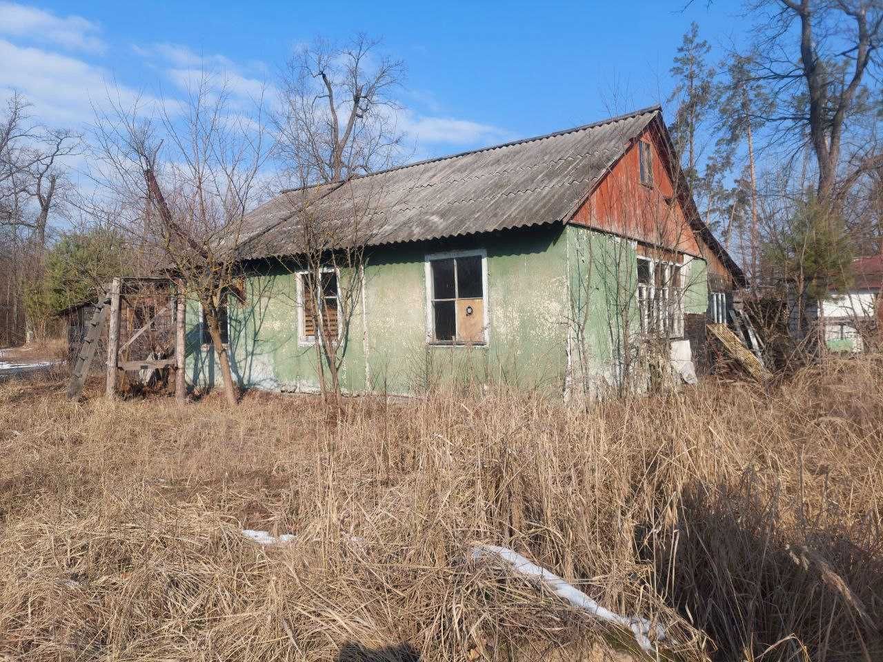 База відпочинку в лісовому масиві, с-ще Сокирна.