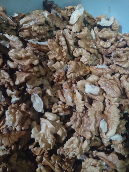 Sacas nozes 10kg