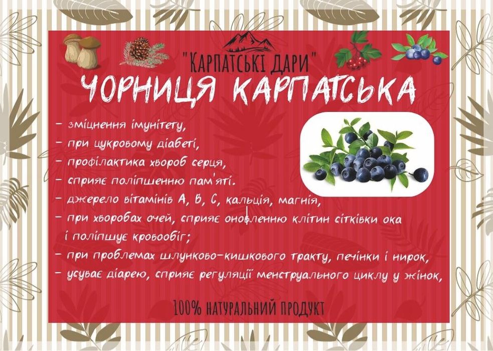 Сушена чорниця (черника сушеная) з Карпат