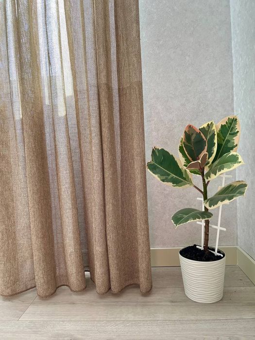 ЯРОВИЦЯ Подобова оренда