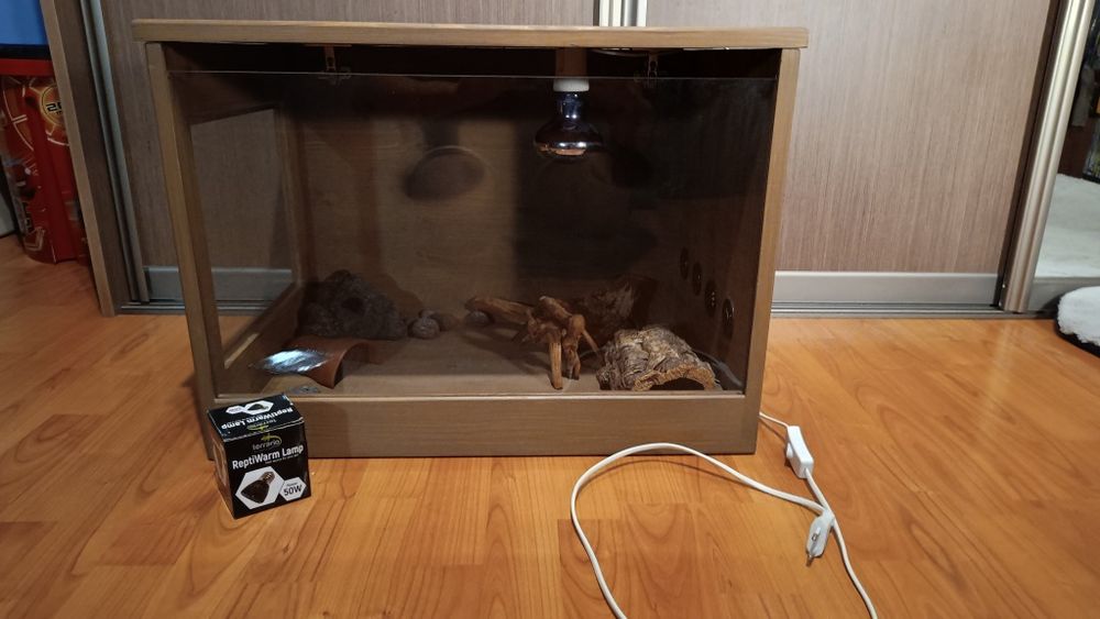 Terrarium dla gekona lamparciego