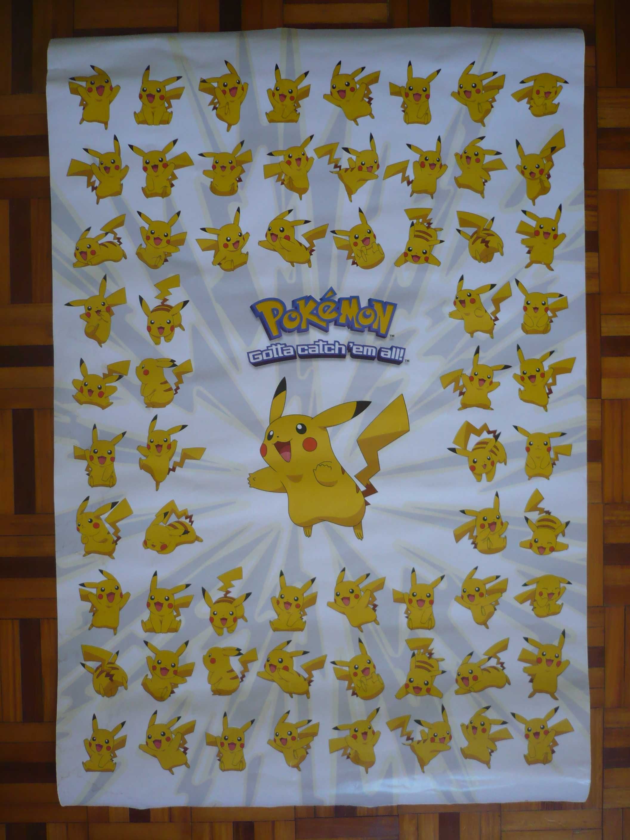 Pokemon gotta catch them all Poster